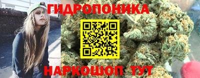2c-b Новозыбков