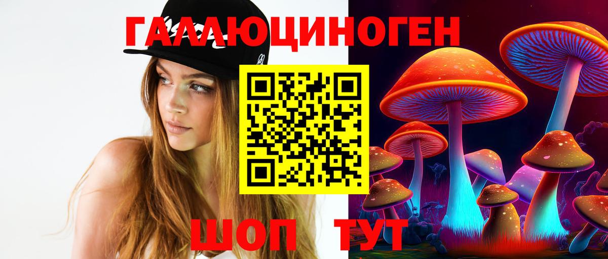 купить наркотики цена  Галлюциногенные грибы Psilocybine cubensis  Вход с VPN  Отрадное 